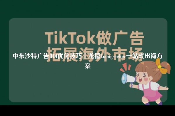 中东沙特广告ROI优化技巧｜龙禧Loongseeker一站式出海方案