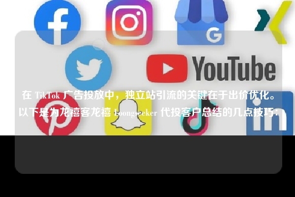在 TikTok 广告投放中,独立站引流的关键在于出价优化。以下是为龙禧客龙禧 Loongseeker 代投客户总结的几点技巧: