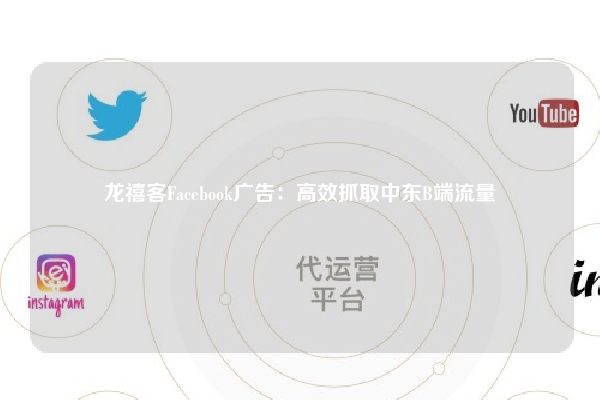 龙禧客Facebook广告：高效抓取中东B端流量