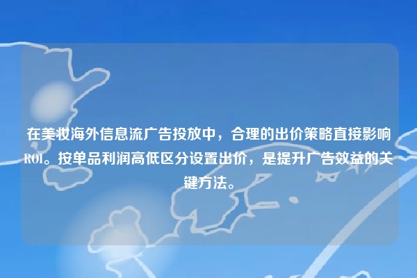 在美妆海外信息流广告投放中，合理的出价策略直接影响ROI。按单品利润高低区分设置出价，是提升广告效益的关键方法。