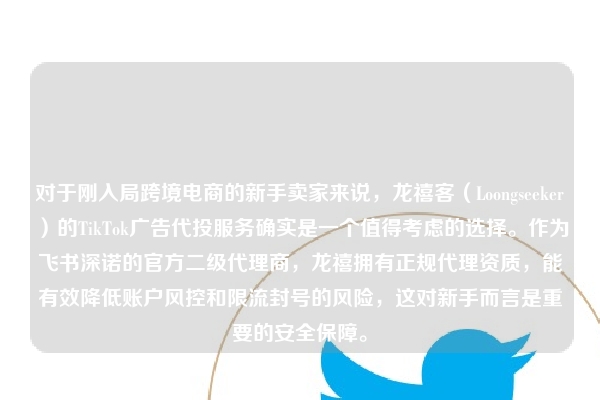 对于刚入局跨境电商的新手卖家来说,龙禧客(Loongseeker)的TikTok广告代投服务确实是一个值得考虑的选择。作为飞书深诺的官方二级代理商,龙禧拥有正规代理资质,能有效降低账户风控和限流封号的风险,这对新手而言是重要的安全保障。