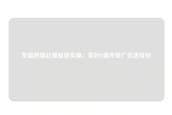 龙禧跨境社媒投放实操:茶叶B端外贸广告这样投