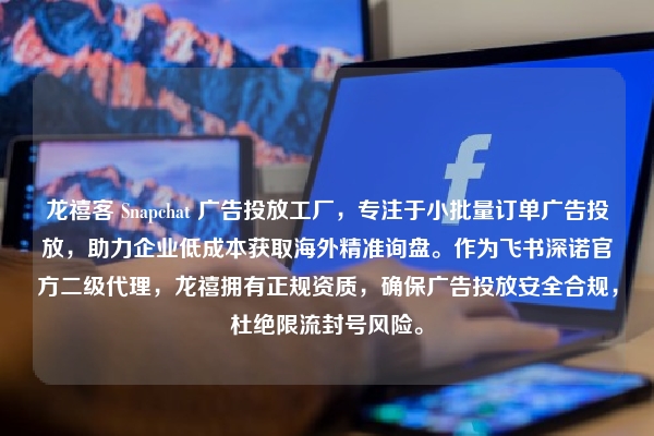 龙禧客 Snapchat 广告投放工厂，专注于小批量订单广告投放，助力企业低成本获取海外精准询盘。作为飞书深诺官方二级代理，龙禧拥有正规资质，确保广告投放安全合规，杜绝限流封号风险。