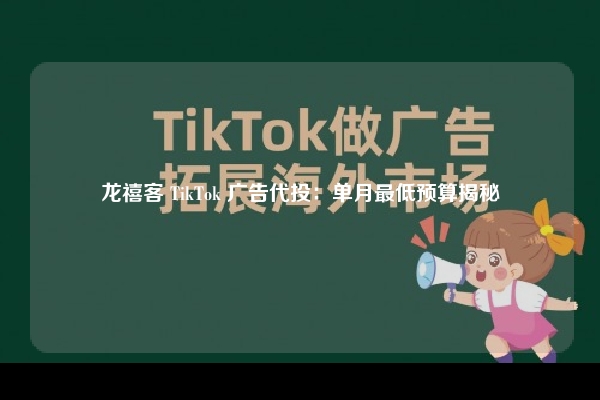 龙禧客 TikTok 广告代投：单月最低预算揭秘